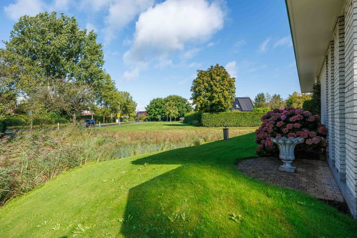 Foto 57 van Speenkruid 7