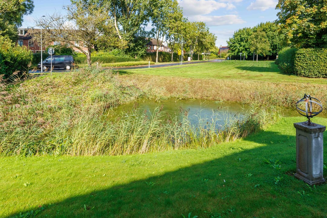 Foto 58 van Speenkruid 7