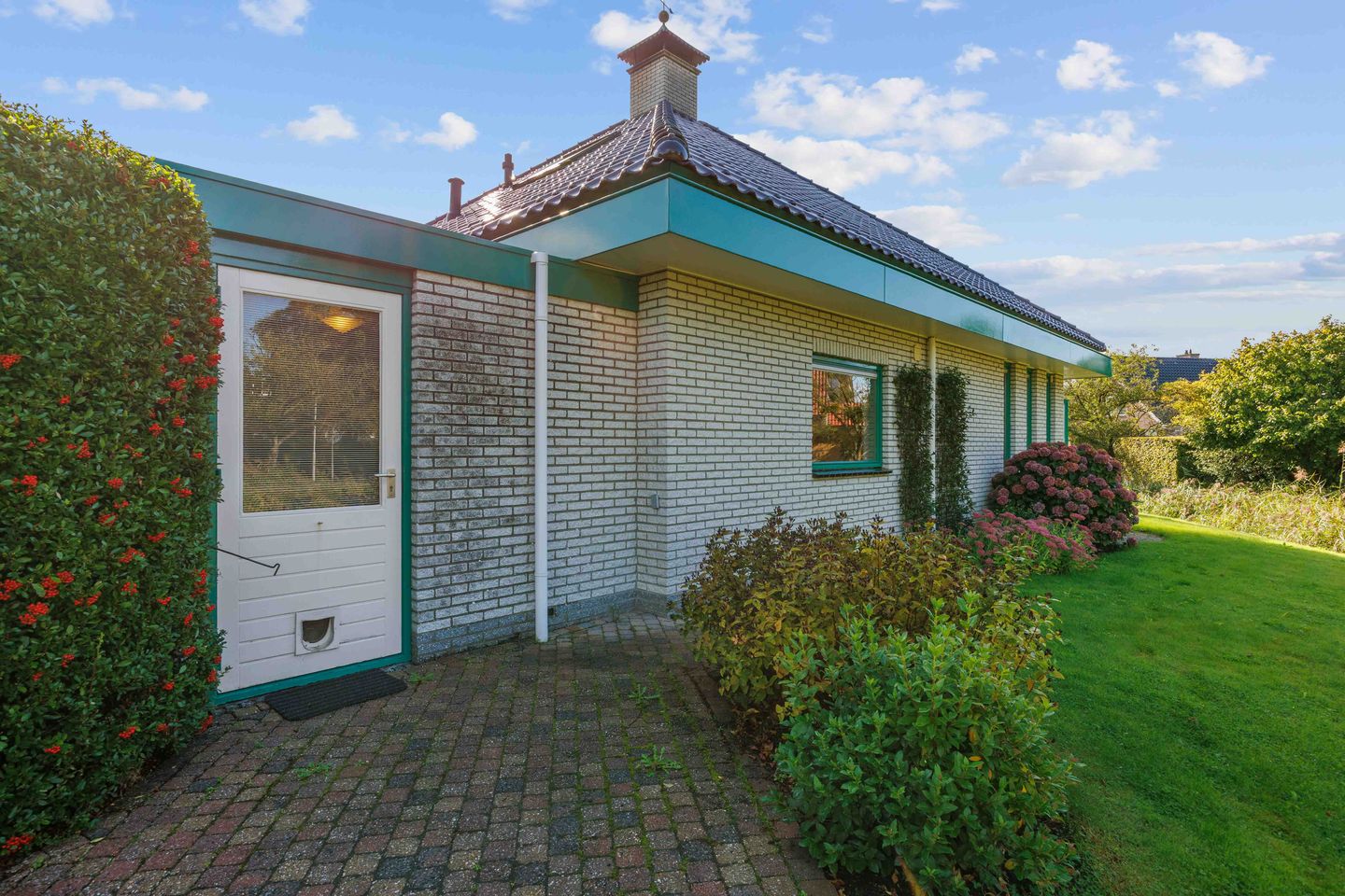 Foto 59 van Speenkruid 7