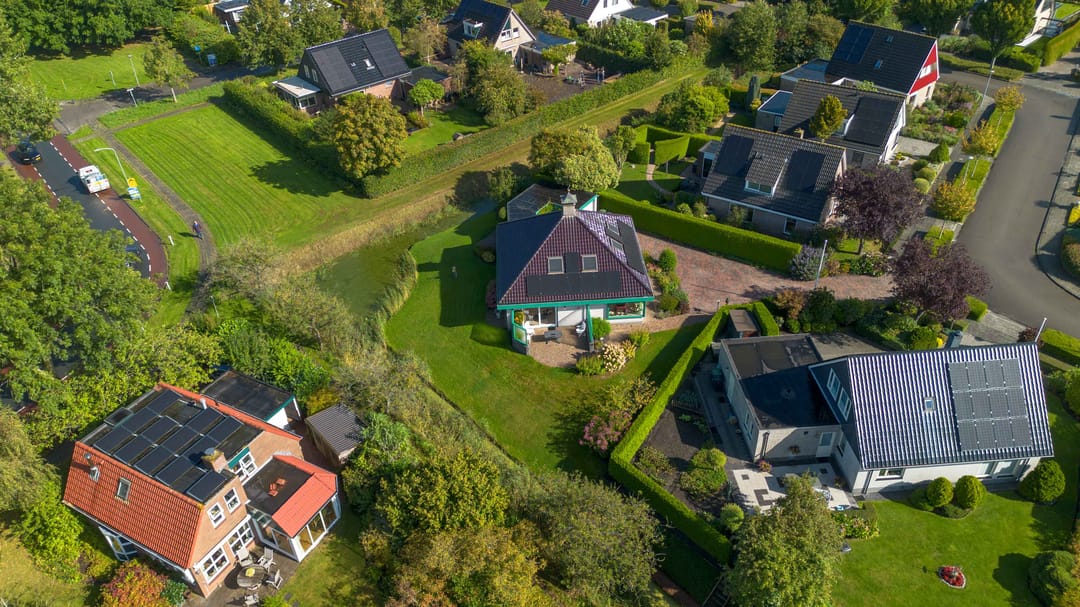 Foto 62 van Speenkruid 7