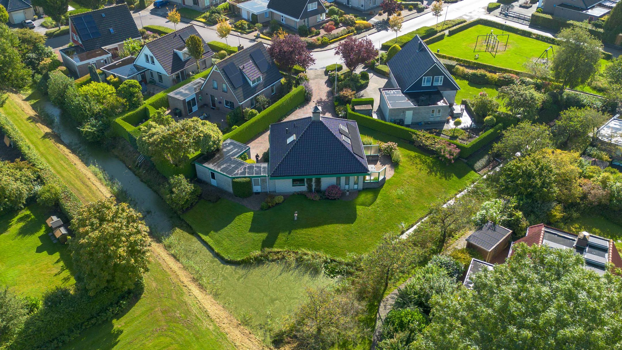 Foto 63 van Speenkruid 7