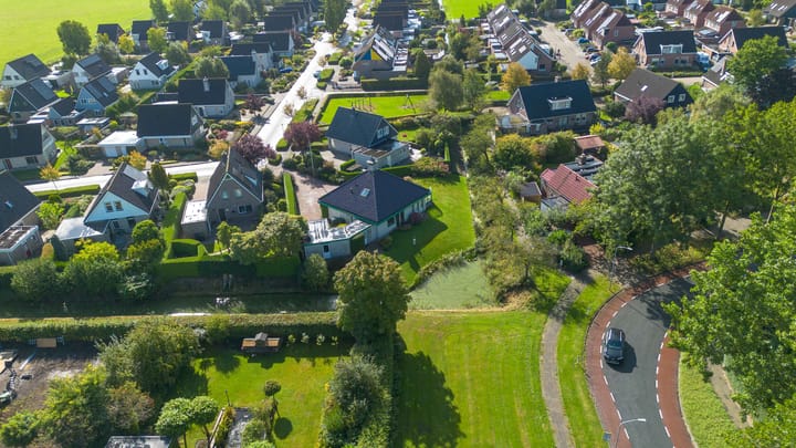 Foto 64 van Speenkruid 7