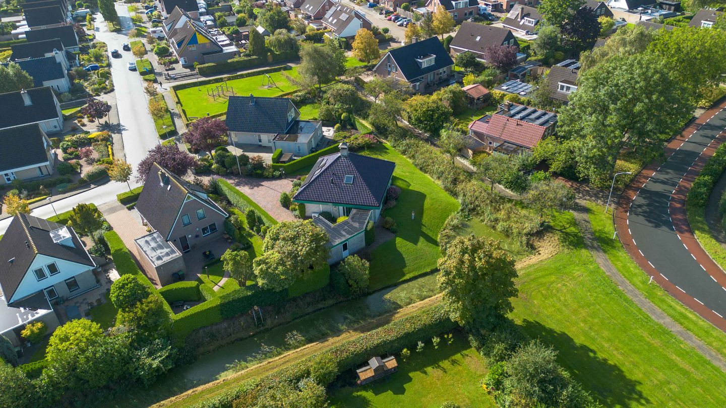 Foto 65 van Speenkruid 7