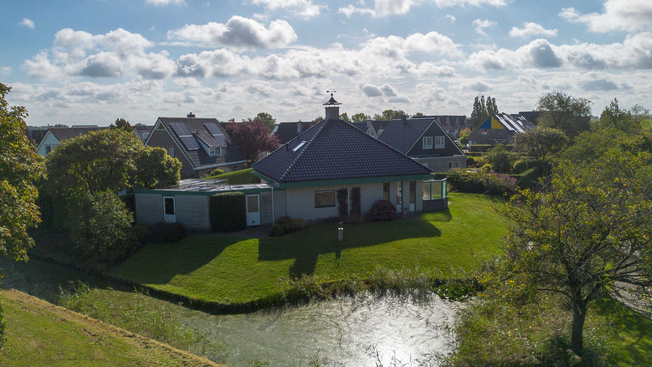 Foto 66 van Speenkruid 7