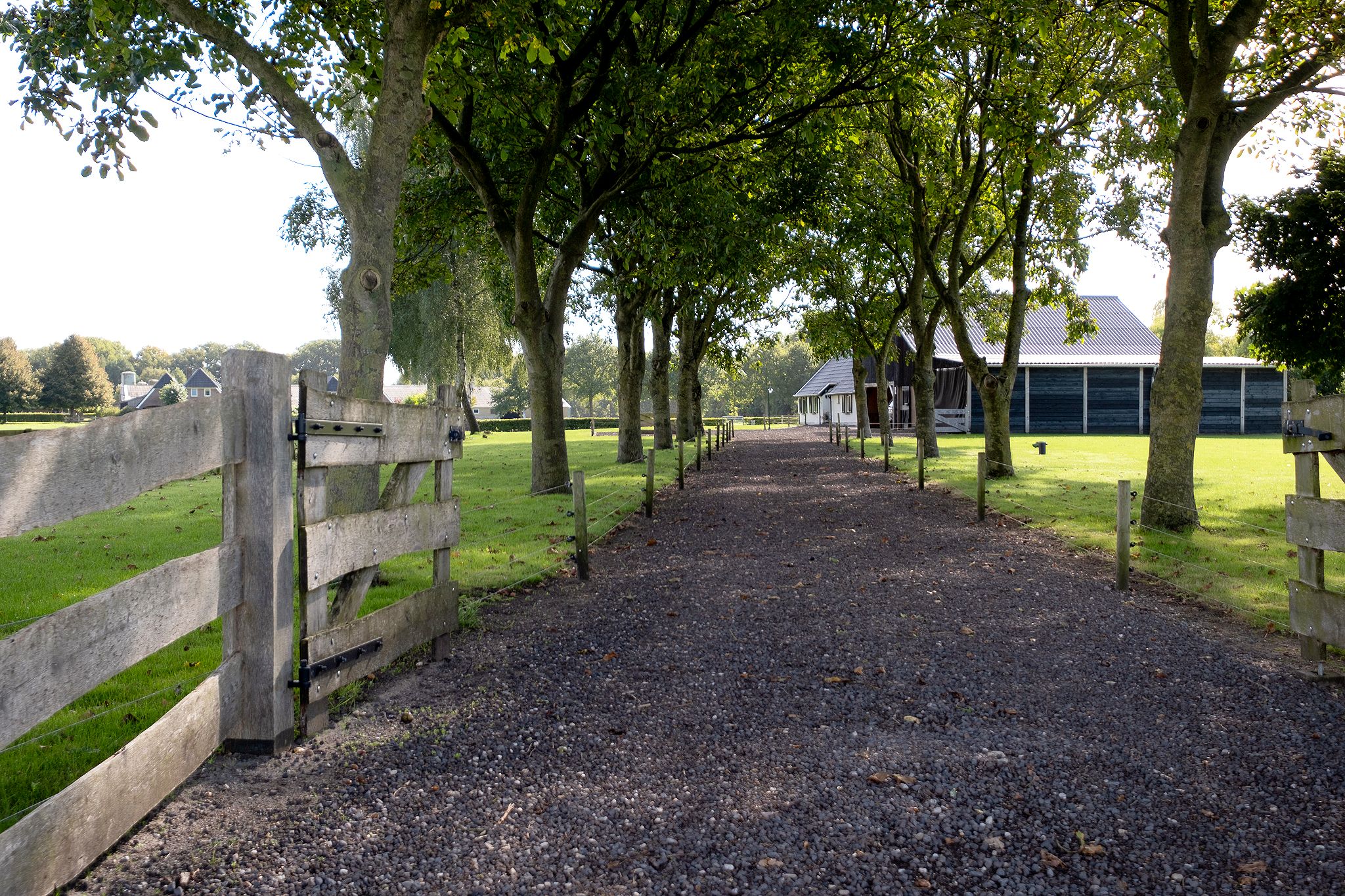 Foto 75 van Strenkhaarsweg 9