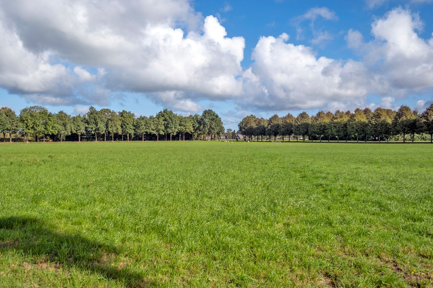 Foto 80 van Strenkhaarsweg 9