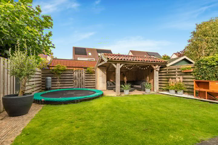 Foto 5 van Zwanebloem 12