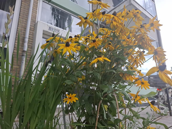 Foto 2 van Van Wijngaardenlaan 89