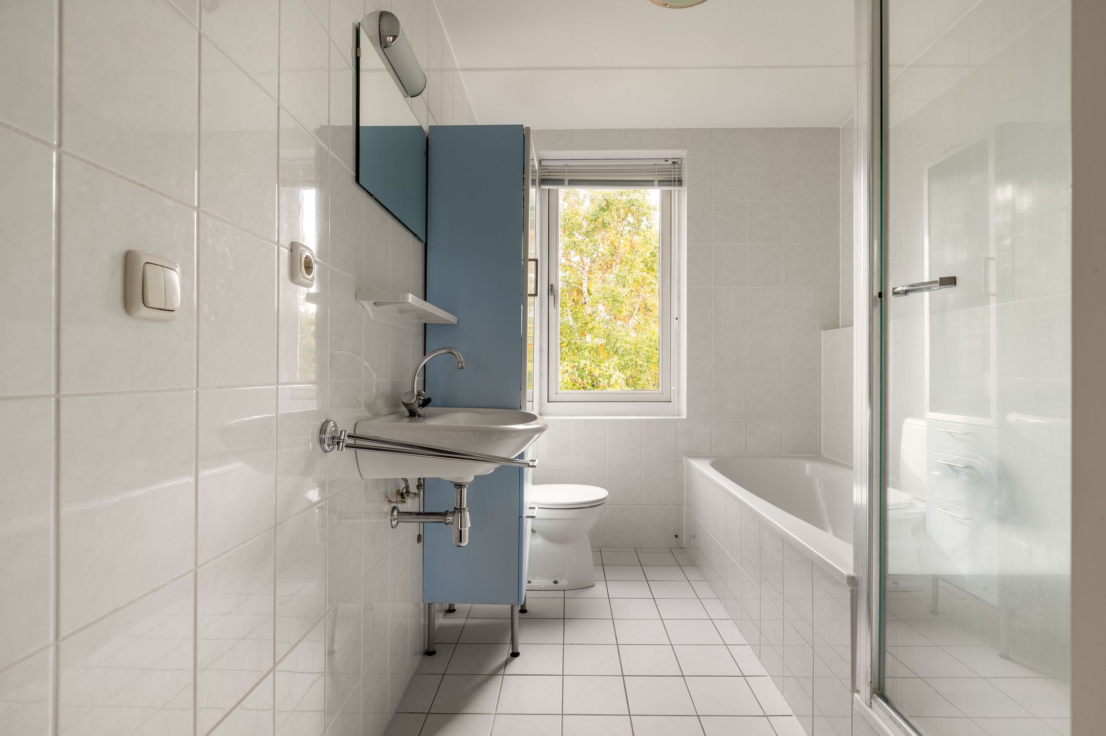 Foto 33 van Zwanebloem 12