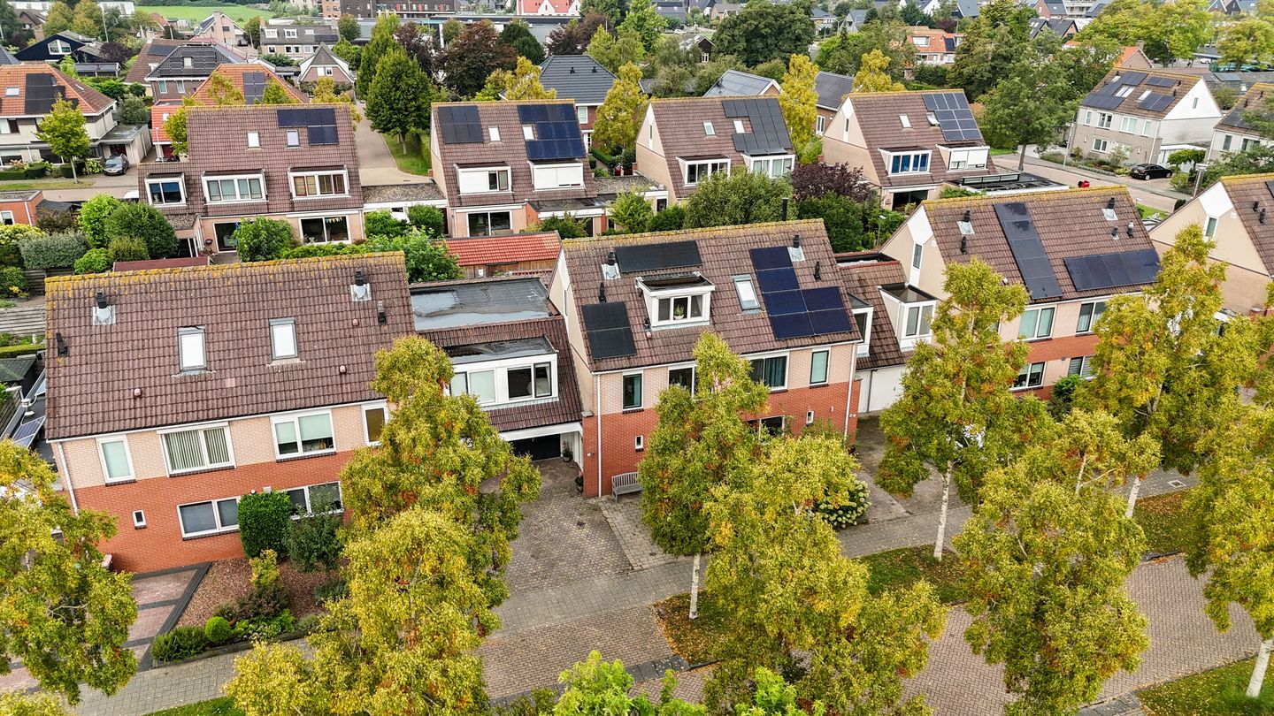 Foto 50 van Zwanebloem 12