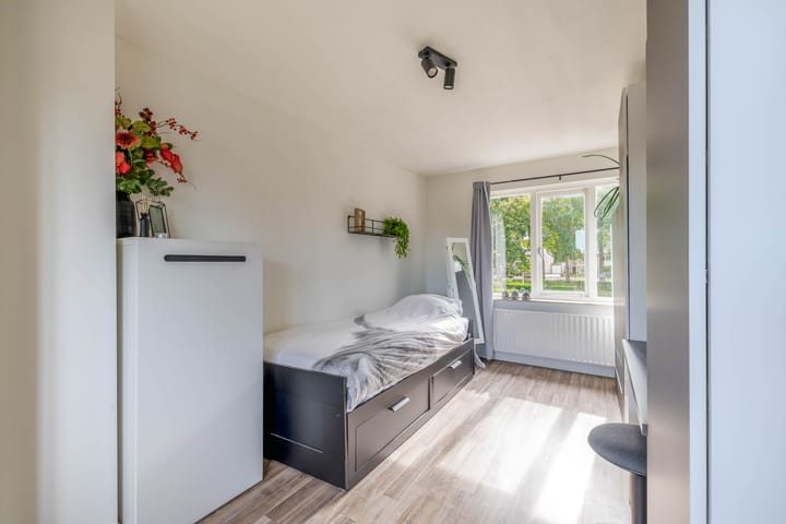 Foto 51 van Tweede Zeine 46