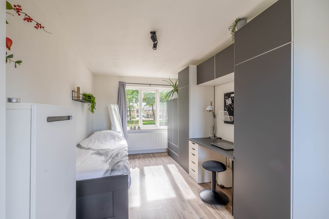 Foto 52 van Tweede Zeine 46