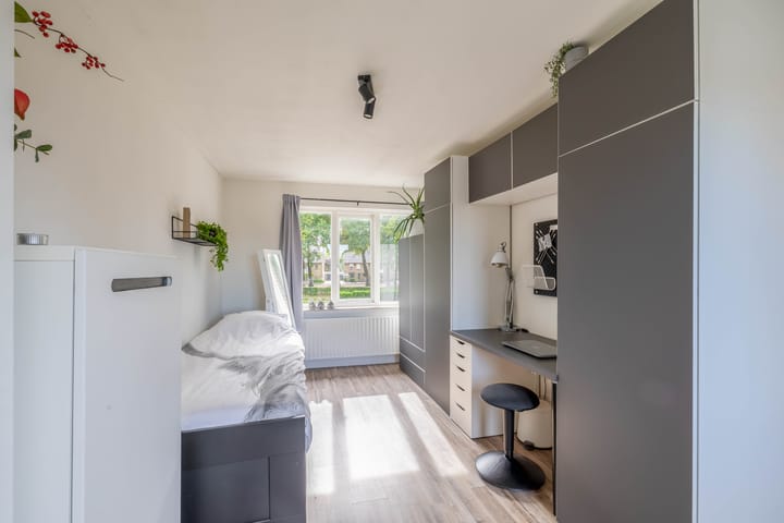 Foto 52 van Tweede Zeine 46