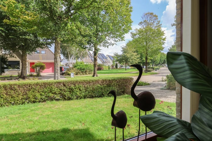 Foto 12 van De Eendracht 2