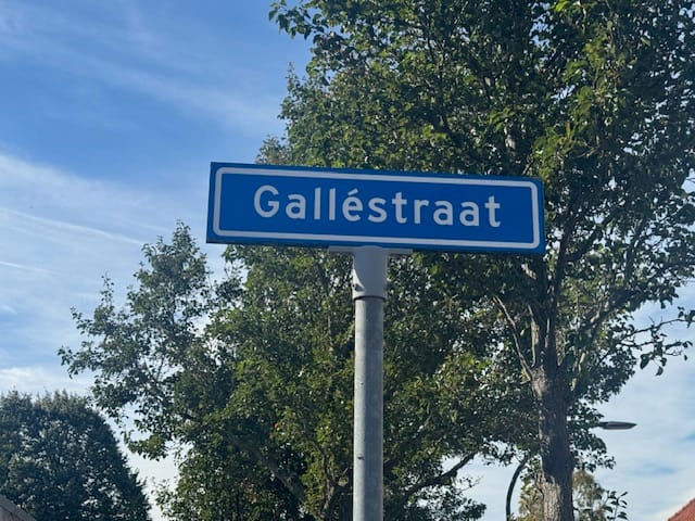 Photo 2 of Galléstraat 51-GR20