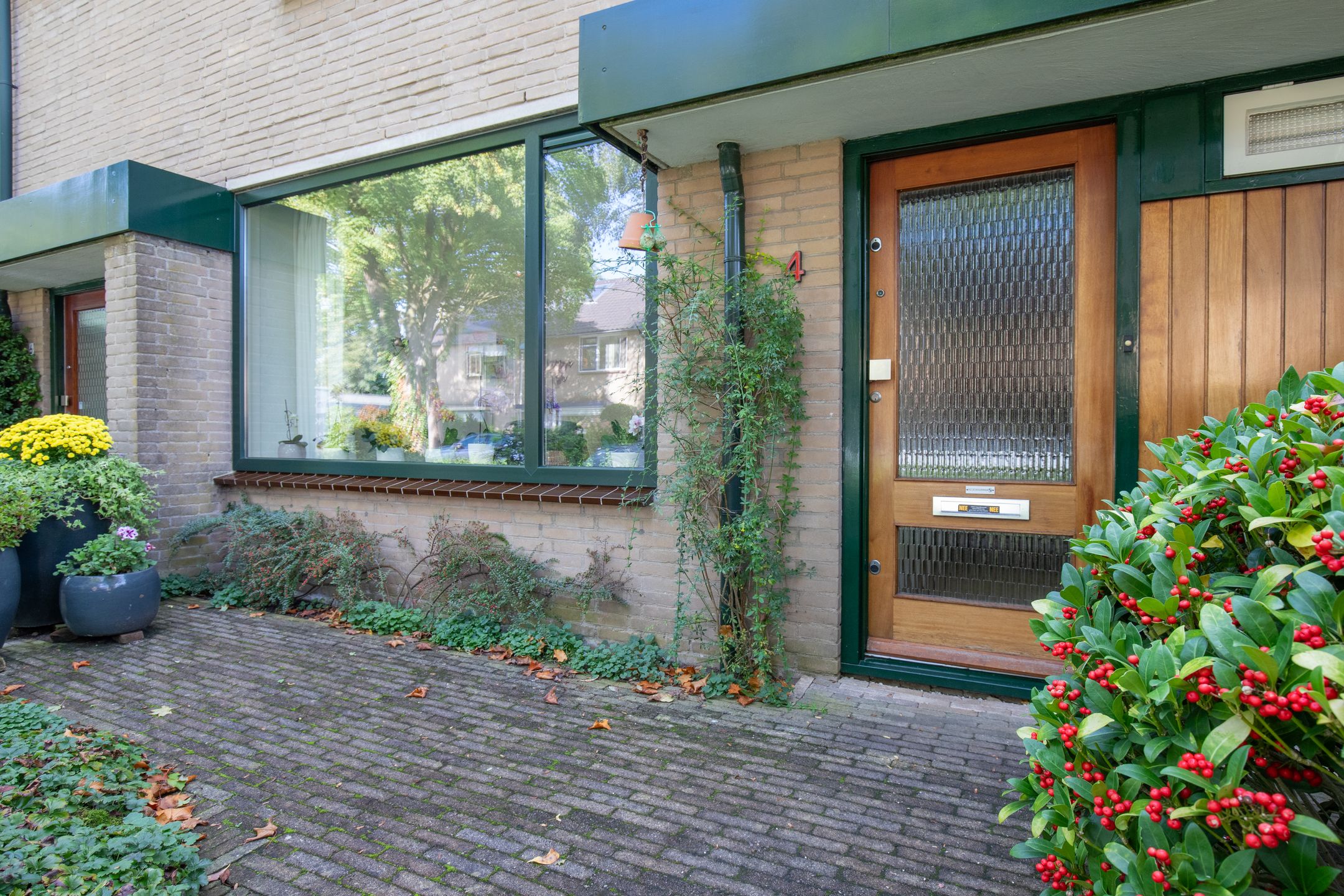 Photo 6 of Driespronglaan 4