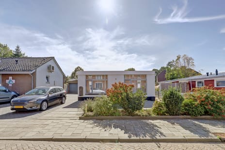 undefined main image