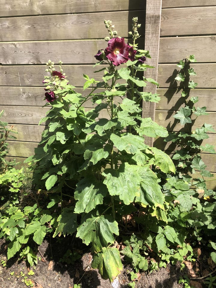 Foto 28 van Reizigersweg 121