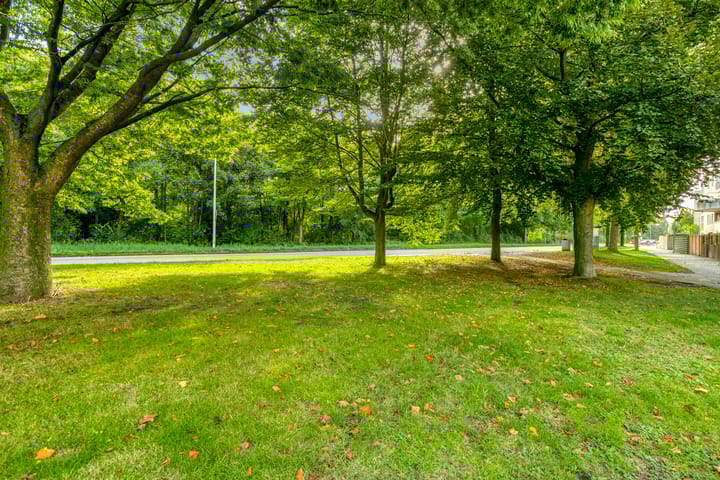 Foto 50 van Reizigersweg 121