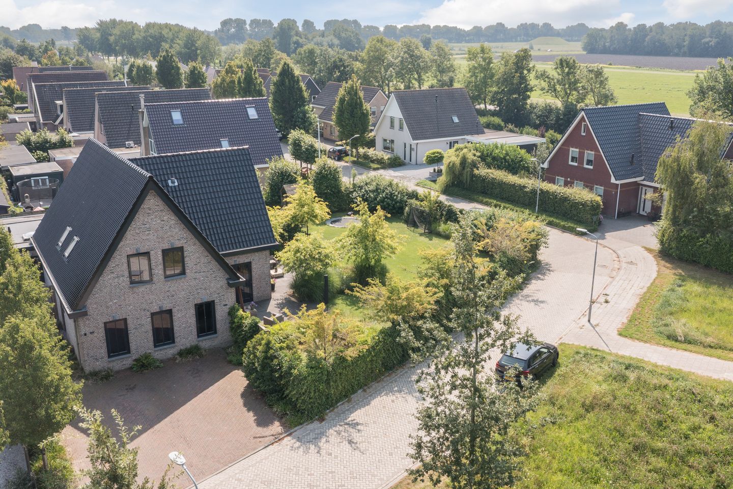 Photo 65 of Zwanebloem 18