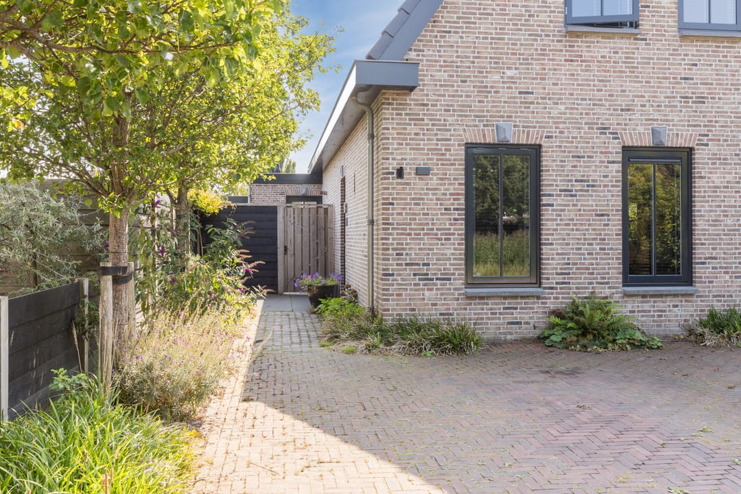 Photo 67 of Zwanebloem 18