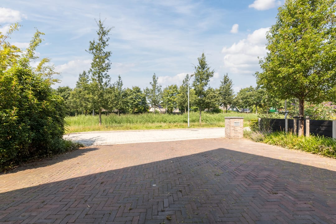 Photo 68 of Zwanebloem 18