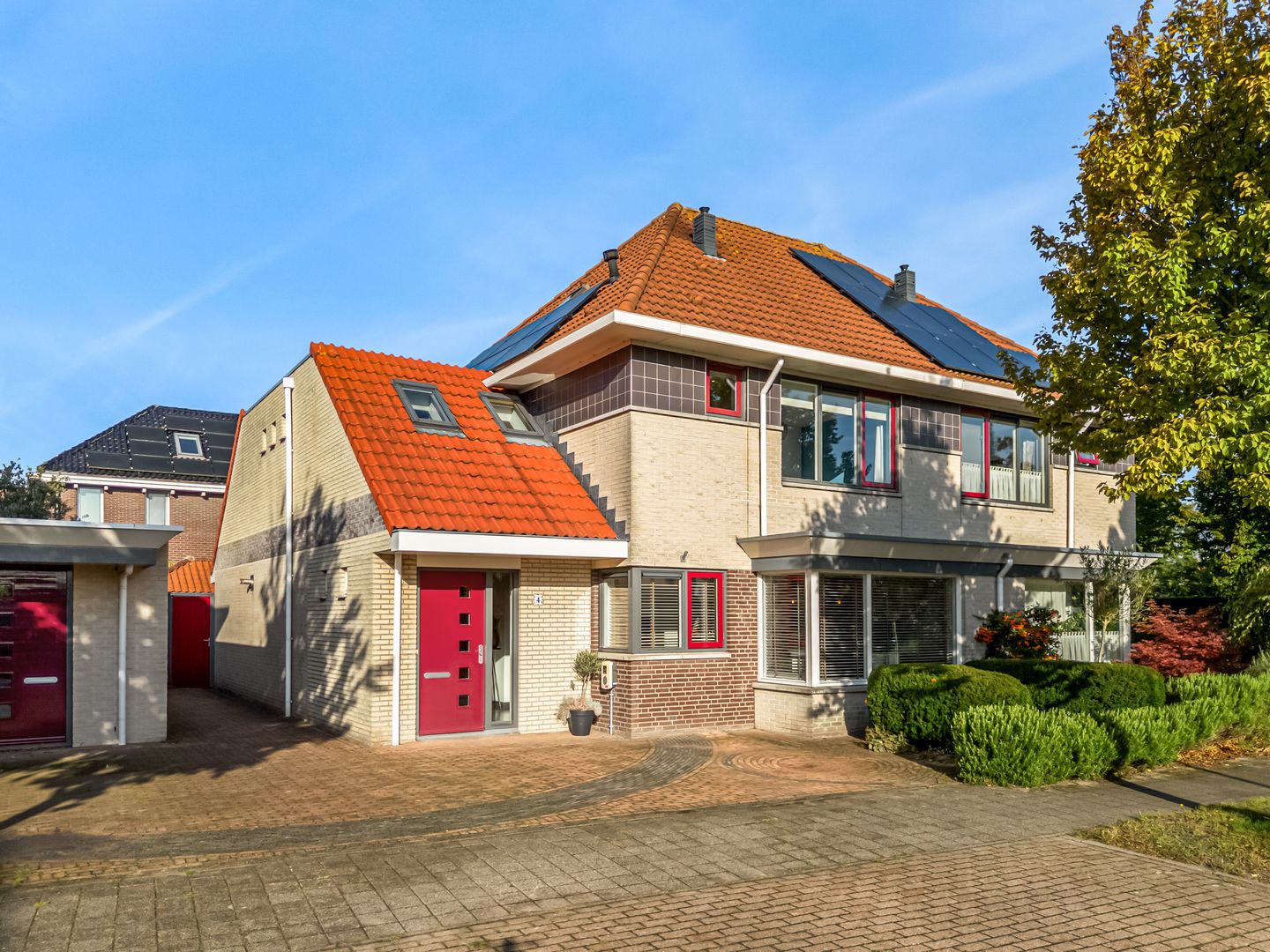 Foto 1 van Rietorchis 4