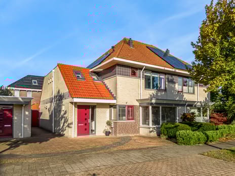 undefined main image