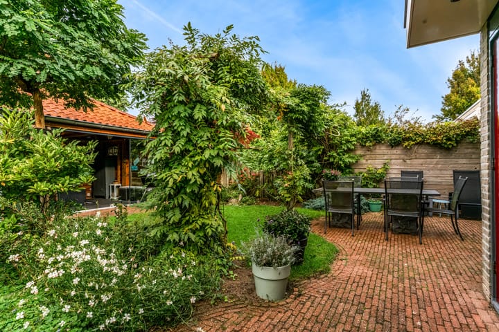 Foto 6 van Rietorchis 4