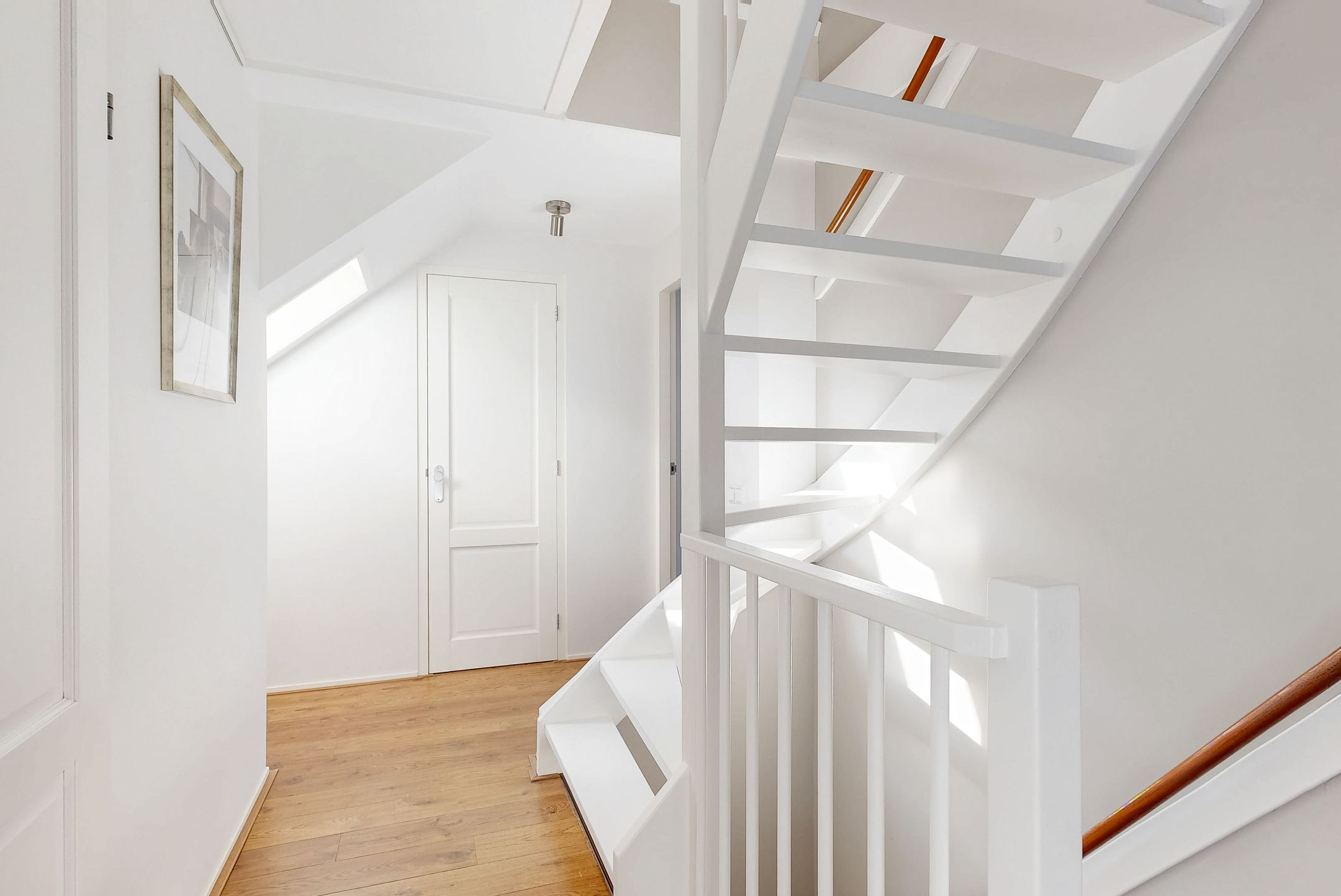 Foto 18 van Rietorchis 4