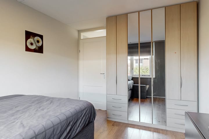 Foto 22 van Rietorchis 4