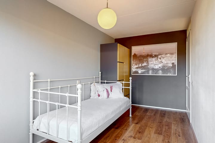 Foto 24 van Rietorchis 4