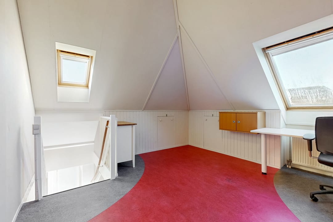 Foto 32 van Rietorchis 4