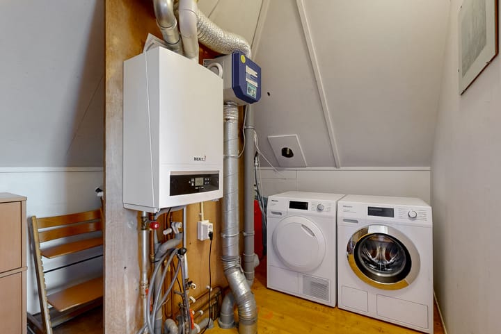 Foto 34 van Rietorchis 4