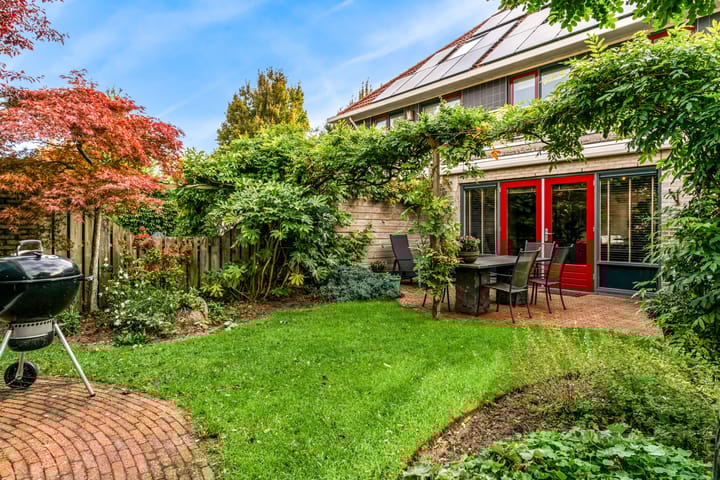 Foto 36 van Rietorchis 4