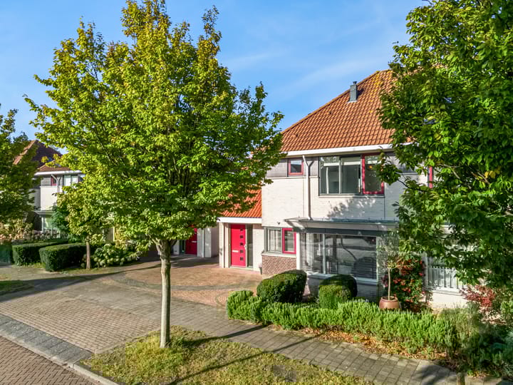 Foto 48 van Rietorchis 4