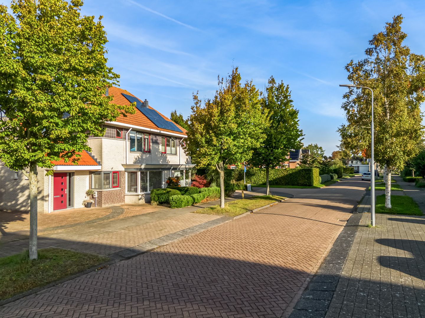 Foto 49 van Rietorchis 4