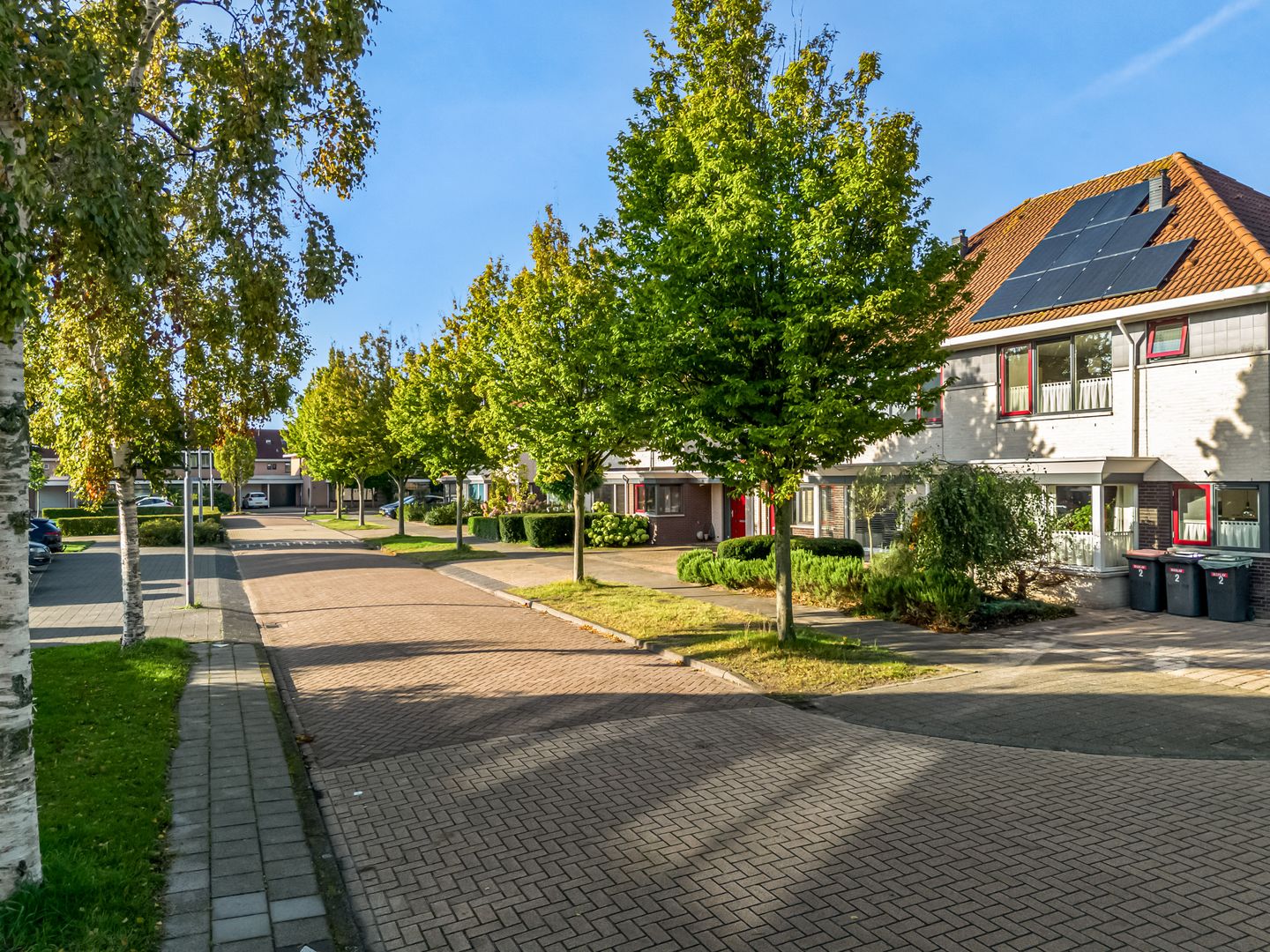 Foto 50 van Rietorchis 4