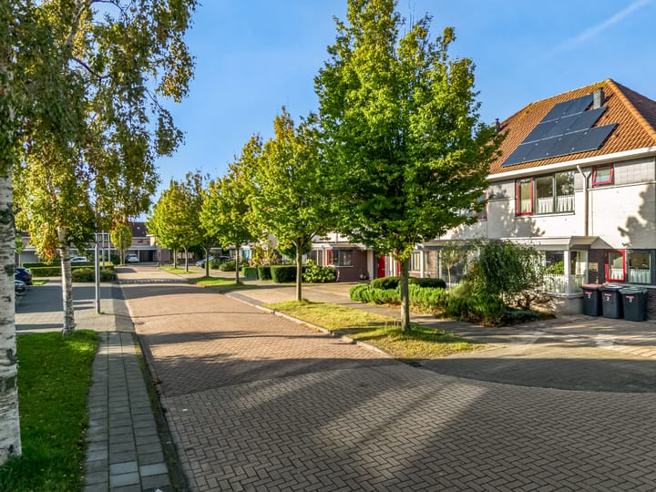 Foto 50 van Rietorchis 4