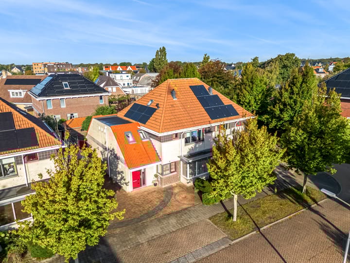 Foto 51 van Rietorchis 4