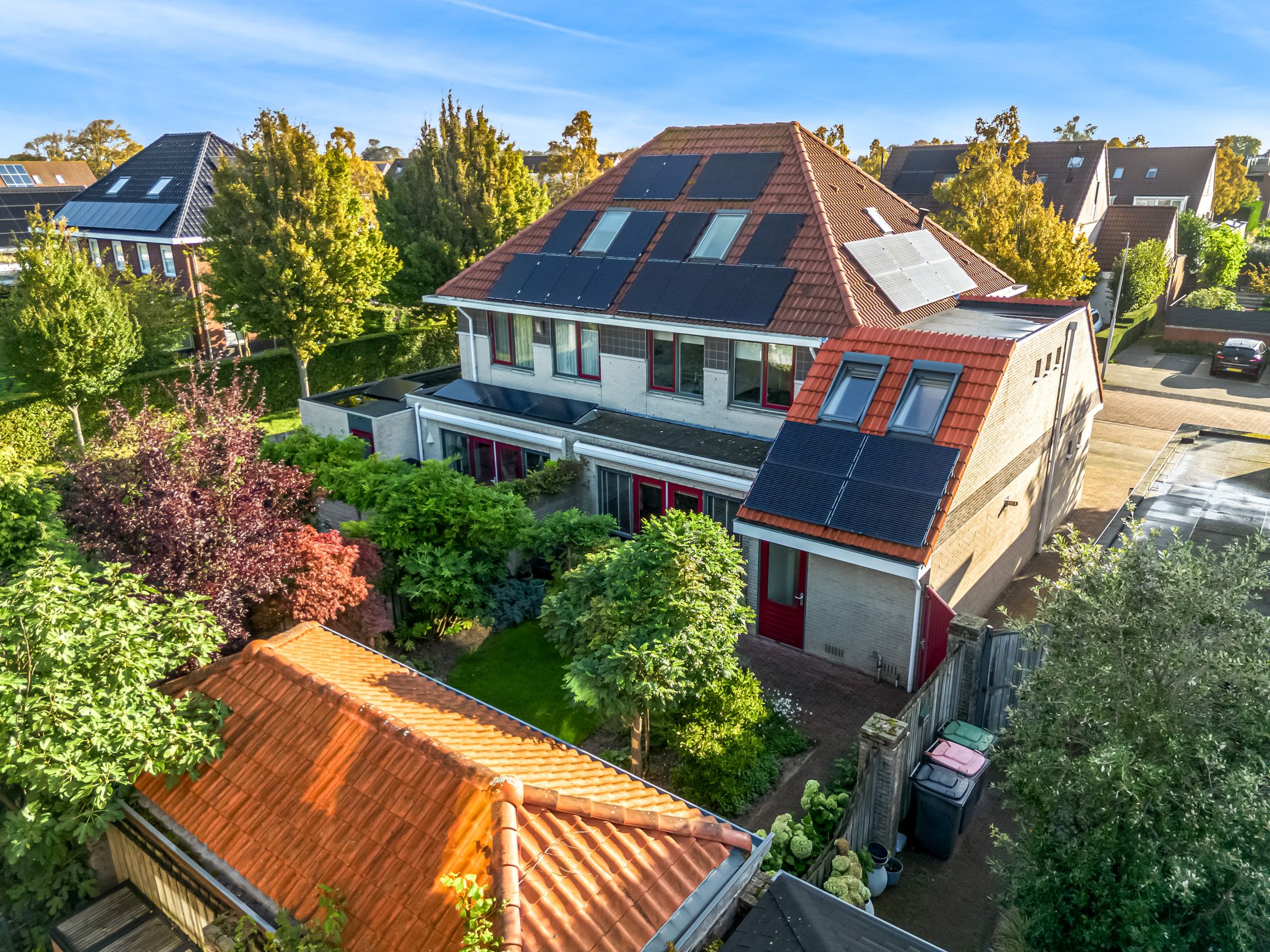 Foto 54 van Rietorchis 4