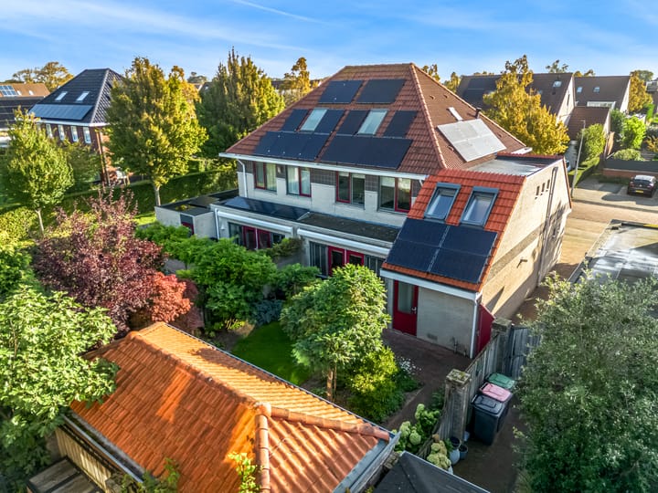 Foto 54 van Rietorchis 4