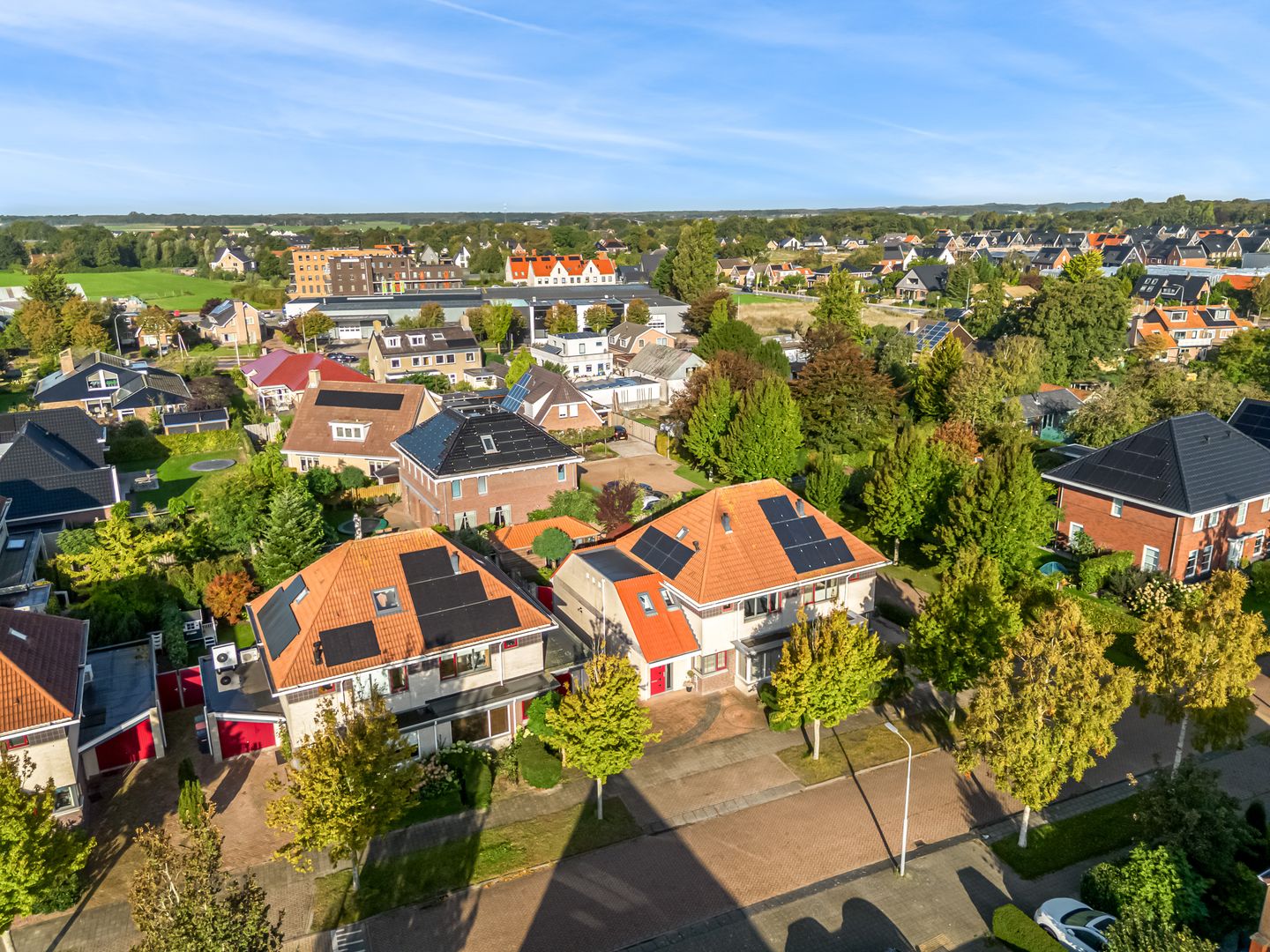 Foto 55 van Rietorchis 4