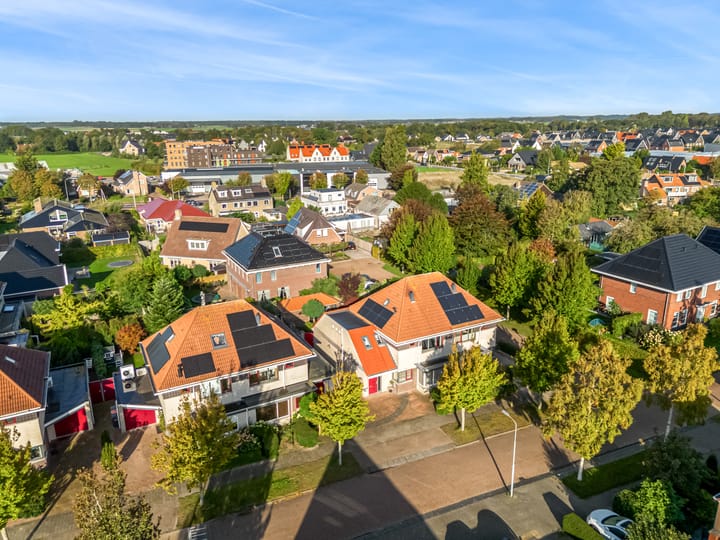 Foto 55 van Rietorchis 4