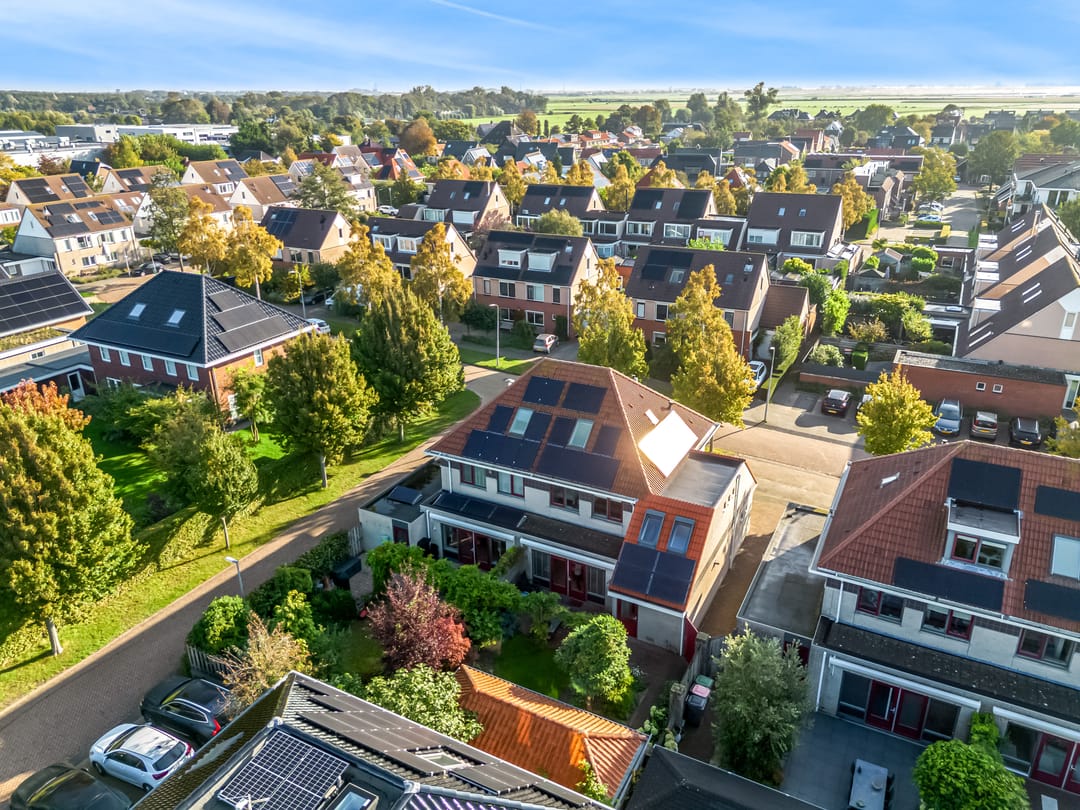 Foto 56 van Rietorchis 4