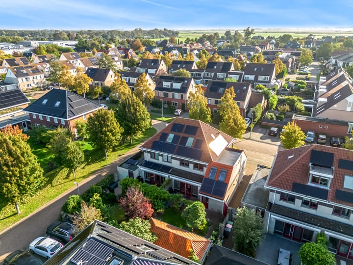 Foto 56 van Rietorchis 4