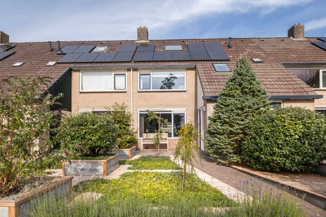 undefined main image