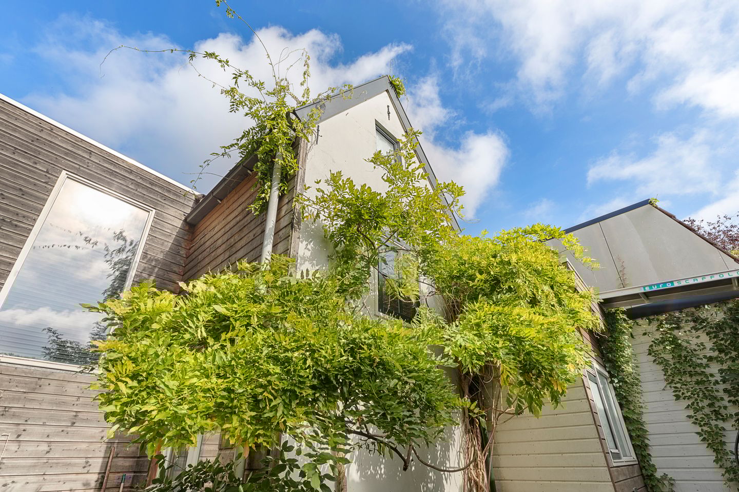 Foto 40 van Violenstraat 38