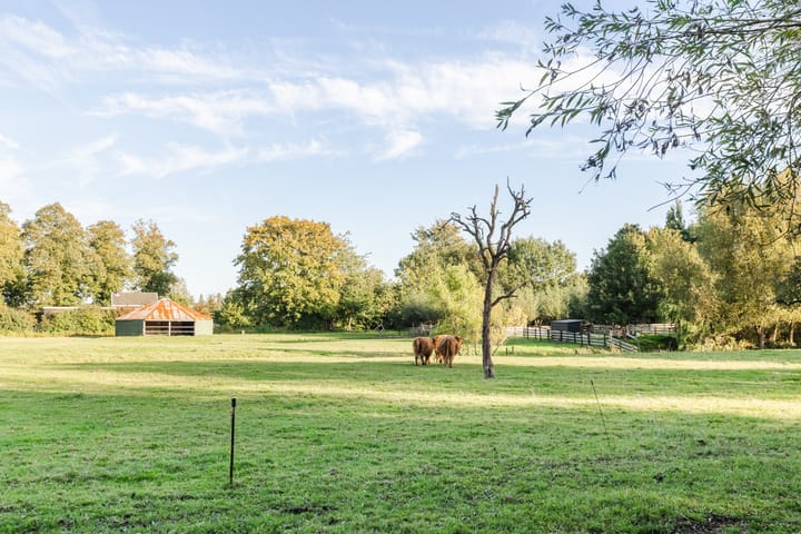 Photo 41 of Kavelpad 25