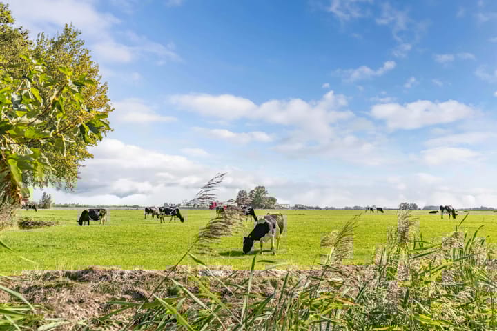 Foto 41 van Ds J van Dijkstraat 16